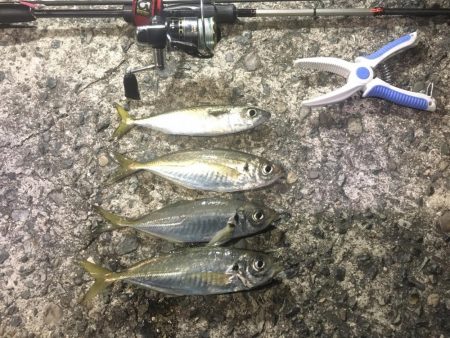 今年の年末調整１日目