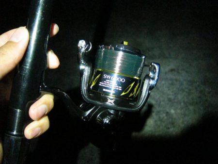 加太大波止でサバが釣れました