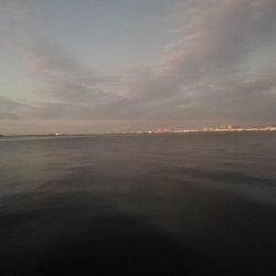 タチウオなんとか1本ゲット，しかし渋い！　