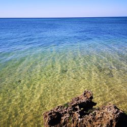 サーフエリアでカスミアジ