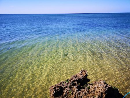 サーフエリアでカスミアジ