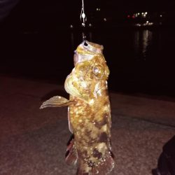 仕事終わりに‼️