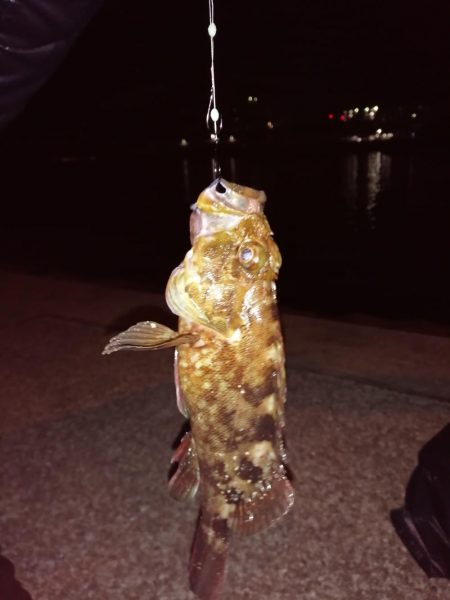 仕事終わりに‼️