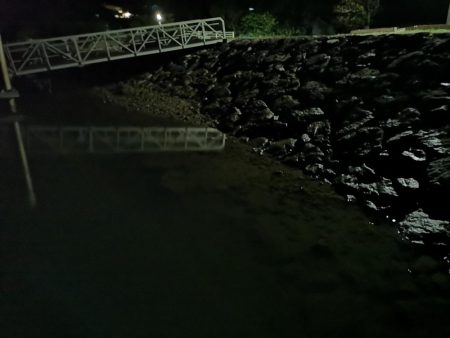 ナイトワームでメッキ釣り