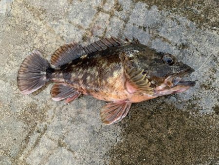 嵐の中での根性の釣り