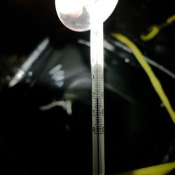 最後の最後に1/20、ちっちゃいけど一夜干しに!