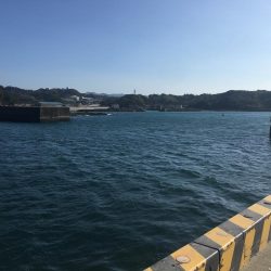 コアジ5匹のみ　強風　波高