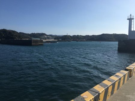 コアジ5匹のみ　強風　波高