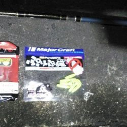 仕事終わりにアジング行って来ました。