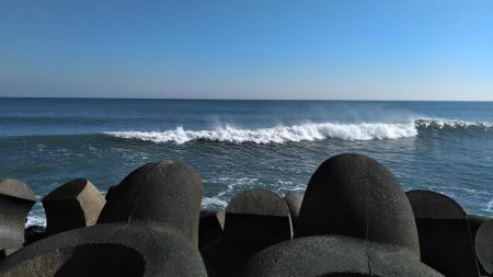 ワラサがガツン！