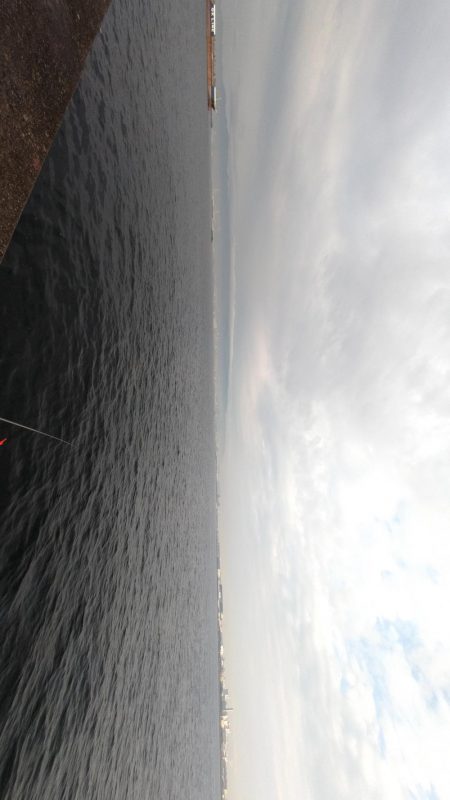 噂の大アジ、大鯖