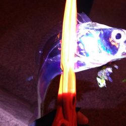 まあまあサイズ