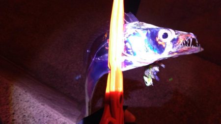 まあまあサイズ