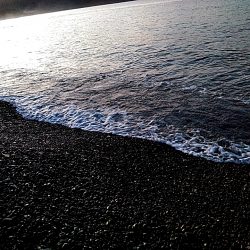 当たりは　多いですが、小型ばかりでした！！