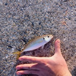 日曜日のんびり釣り