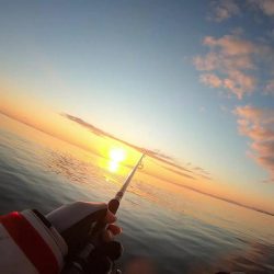 津サーフフィッシング 寒い中マゴチ釣れました