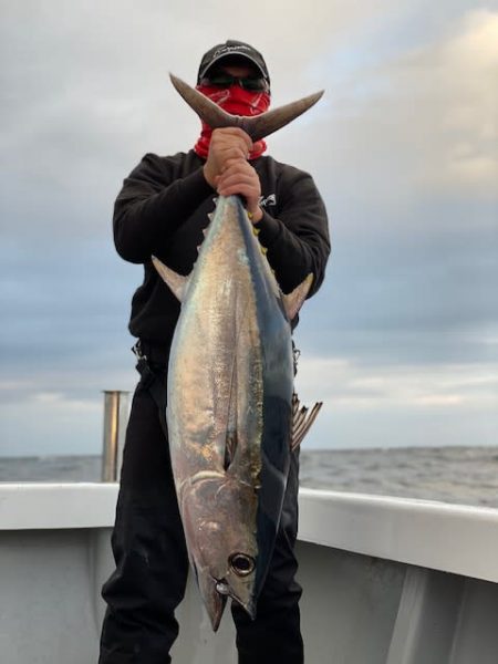 へいみつ丸 釣果