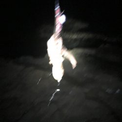 今年激シブの南紀でも場所選べばなんとかエギングでアオリイカ釣れる