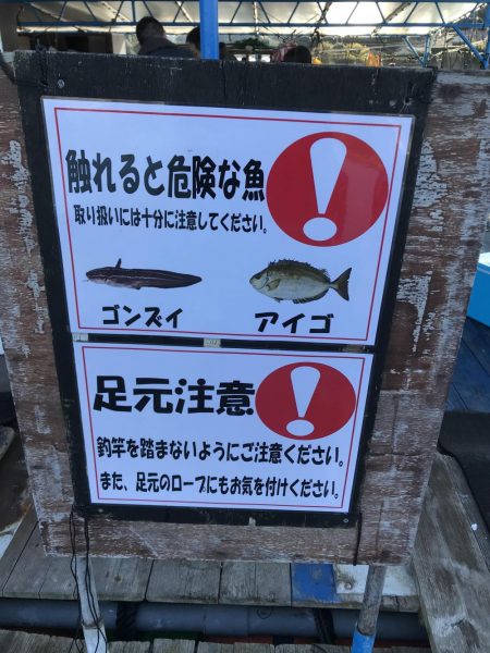 鯛釣りイサキ釣りｗ