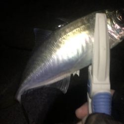 年末調整２日目！