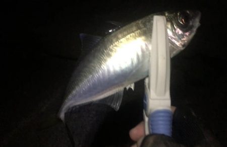 年末調整２日目！