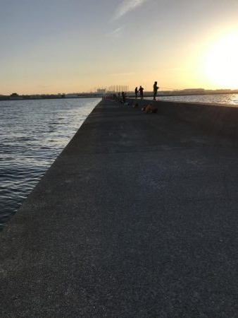 12月20日大サバ狙い