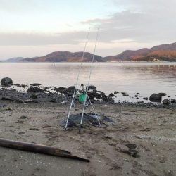 1日でキスの型が・・・