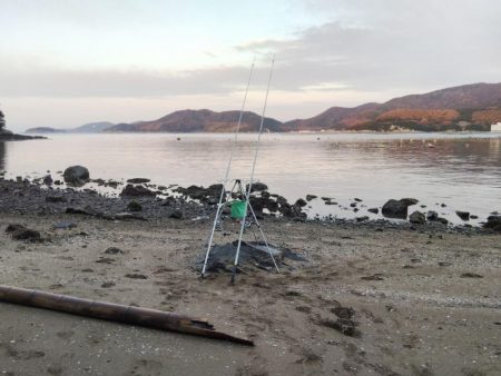 1日でキスの型が・・・