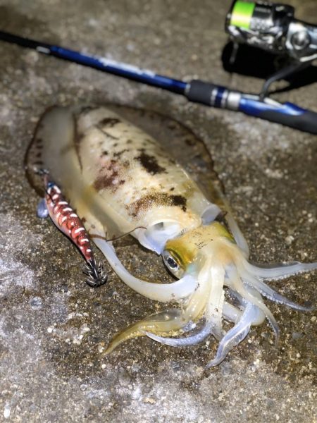 水平フォールってこんな効く！？