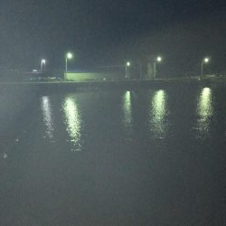 土佐泊でフルムーンアジング