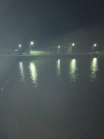 土佐泊でフルムーンアジング