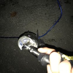 いつまでいけるか