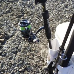 エギング　キロオーバー