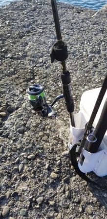 エギング　キロオーバー