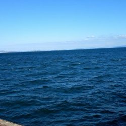 いつまで釣れる?