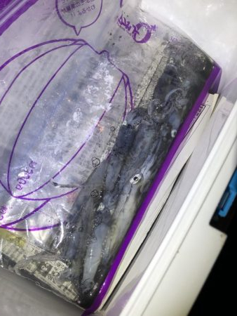 ヒイカ爆釣？
