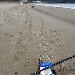 今日は、今年1番の釣果!