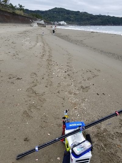 今日は、今年1番の釣果!