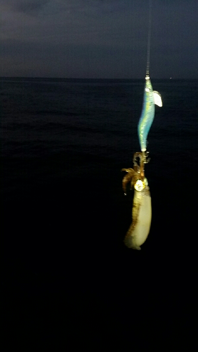 ヤエン師に挟まれて