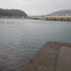 久しぶりの餌釣り