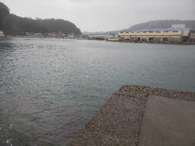 久しぶりの餌釣り