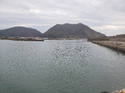 昨日の残り餌を