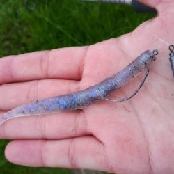 冬の紀の川本流40UPバス！！