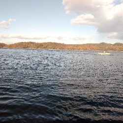 今期2回目・ワカサギ釣り