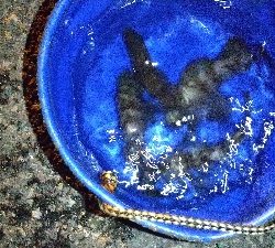 2019年12月18日釣行in箱崎ふ頭