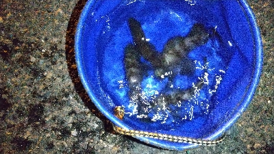 2019年12月18日釣行in箱崎ふ頭