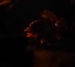 メバリング調査