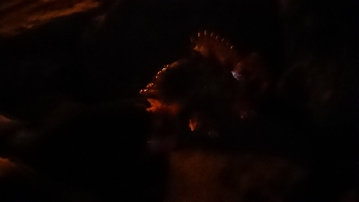 メバリング調査