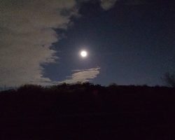 沖堤防より釣れる？