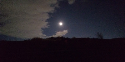 沖堤防より釣れる？